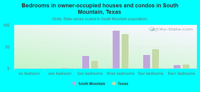 Bedrooms in owner-occupied houses and condos in South Mountain, Texas