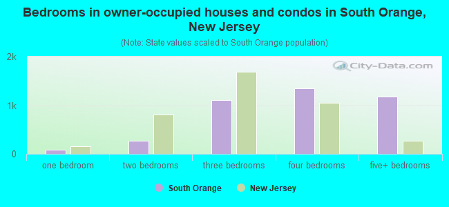 Bedrooms in owner-occupied houses and condos in South Orange, New Jersey