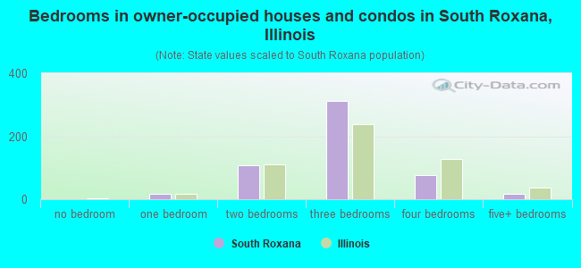 Bedrooms in owner-occupied houses and condos in South Roxana, Illinois