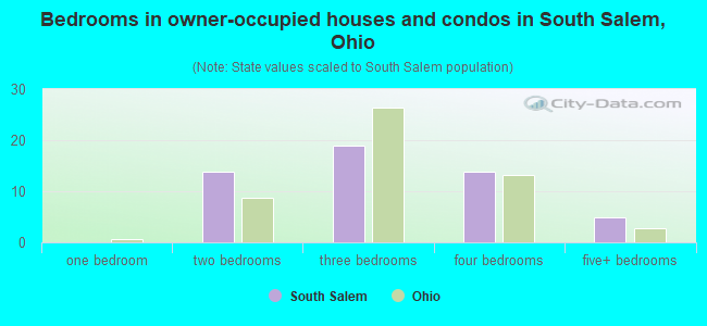 Bedrooms in owner-occupied houses and condos in South Salem, Ohio
