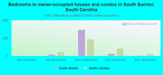 Bedrooms in owner-occupied houses and condos in South Sumter, South Carolina