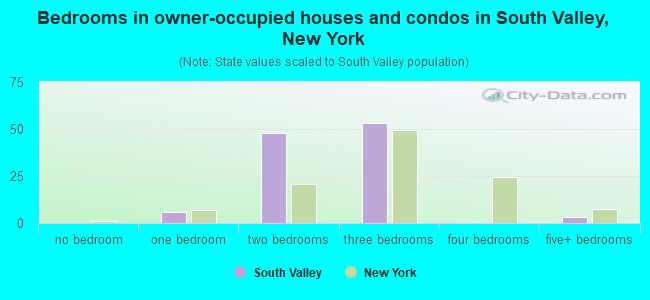 Bedrooms in owner-occupied houses and condos in South Valley, New York