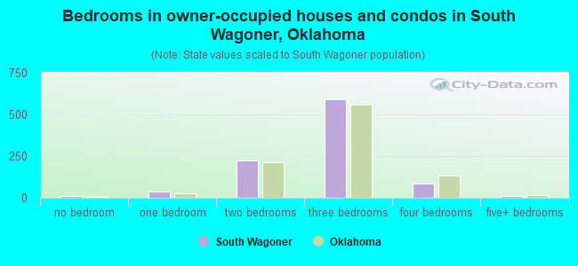 Bedrooms in owner-occupied houses and condos in South Wagoner, Oklahoma
