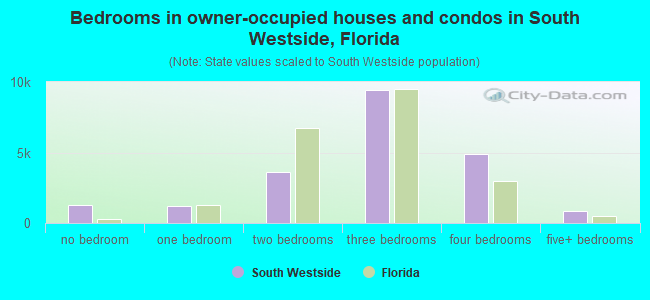 Bedrooms in owner-occupied houses and condos in South Westside, Florida