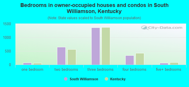 Bedrooms in owner-occupied houses and condos in South Williamson, Kentucky