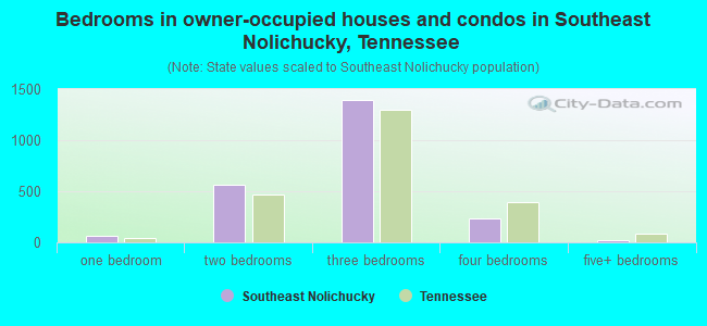 Bedrooms in owner-occupied houses and condos in Southeast Nolichucky, Tennessee