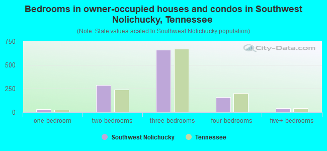 Bedrooms in owner-occupied houses and condos in Southwest Nolichucky, Tennessee