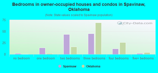 Bedrooms in owner-occupied houses and condos in Spavinaw, Oklahoma
