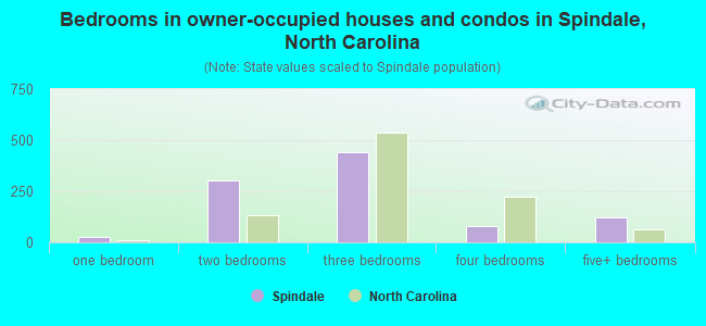 Bedrooms in owner-occupied houses and condos in Spindale, North Carolina