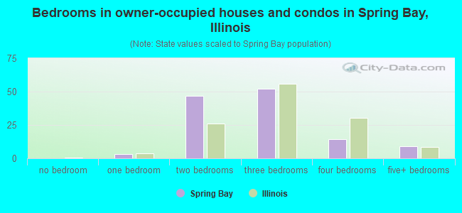 Bedrooms in owner-occupied houses and condos in Spring Bay, Illinois