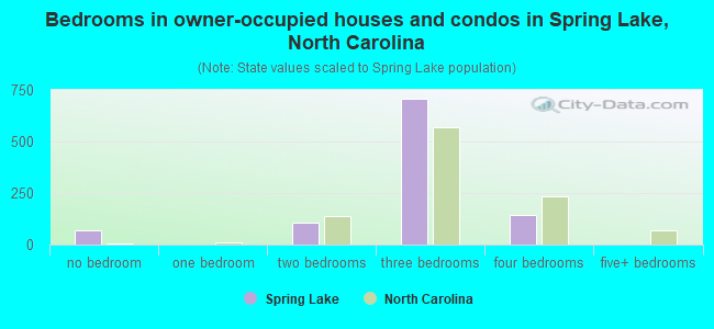 Bedrooms in owner-occupied houses and condos in Spring Lake, North Carolina