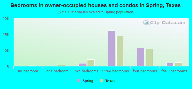 Bedrooms in owner-occupied houses and condos in Spring, Texas