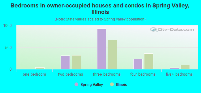Bedrooms in owner-occupied houses and condos in Spring Valley, Illinois