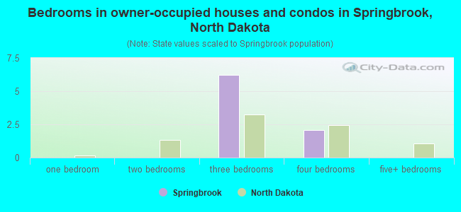 Bedrooms in owner-occupied houses and condos in Springbrook, North Dakota