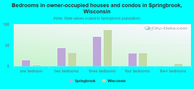 Bedrooms in owner-occupied houses and condos in Springbrook, Wisconsin