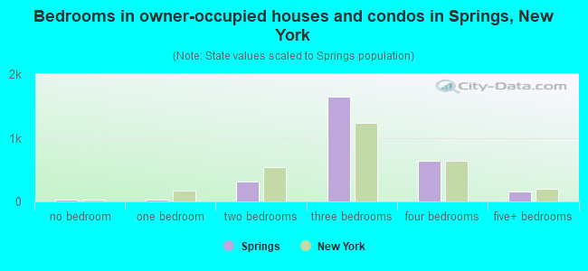 Bedrooms in owner-occupied houses and condos in Springs, New York