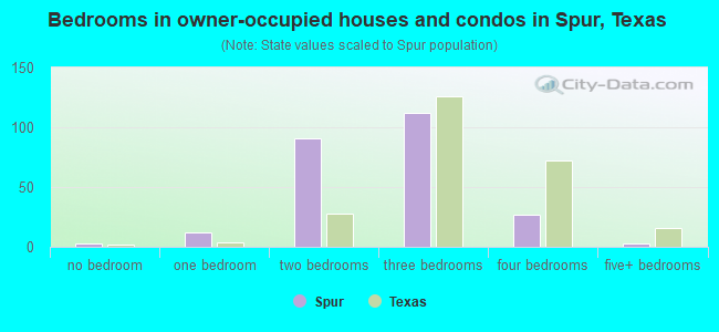Bedrooms in owner-occupied houses and condos in Spur, Texas