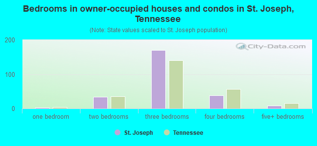 Bedrooms in owner-occupied houses and condos in St. Joseph, Tennessee