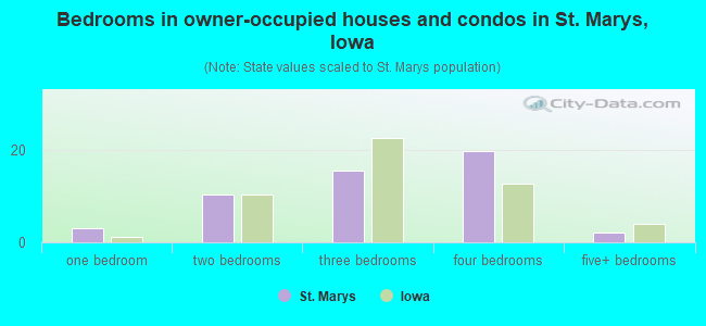 Bedrooms in owner-occupied houses and condos in St. Marys, Iowa