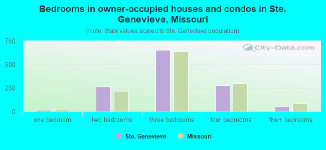 Bedrooms in owner-occupied houses and condos in Ste. Genevieve, Missouri
