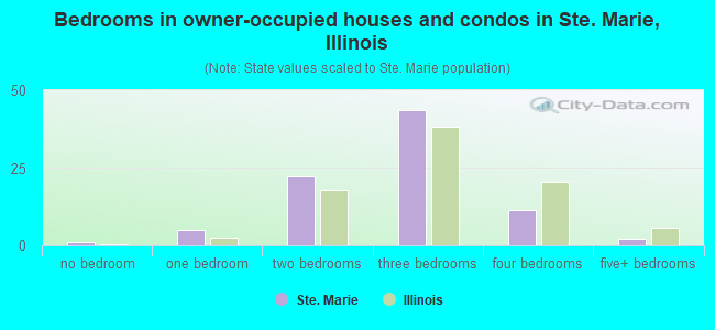 Bedrooms in owner-occupied houses and condos in Ste. Marie, Illinois
