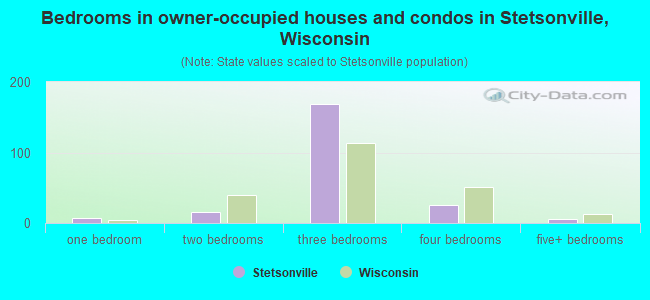 Bedrooms in owner-occupied houses and condos in Stetsonville, Wisconsin