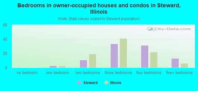Bedrooms in owner-occupied houses and condos in Steward, Illinois