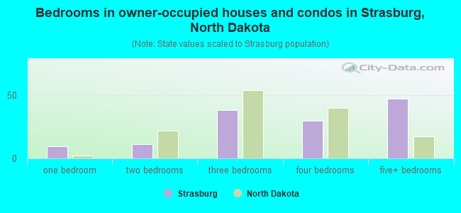 Bedrooms in owner-occupied houses and condos in Strasburg, North Dakota