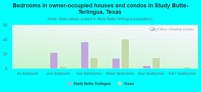 Bedrooms in owner-occupied houses and condos in Study Butte-Terlingua, Texas