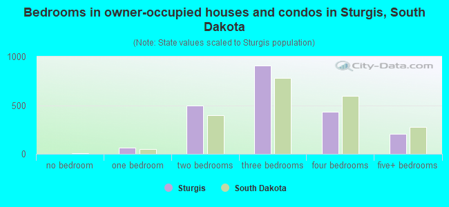 Bedrooms in owner-occupied houses and condos in Sturgis, South Dakota