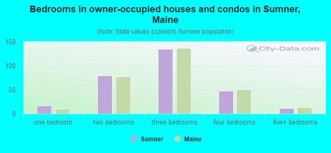 Bedrooms in owner-occupied houses and condos in Sumner, Maine