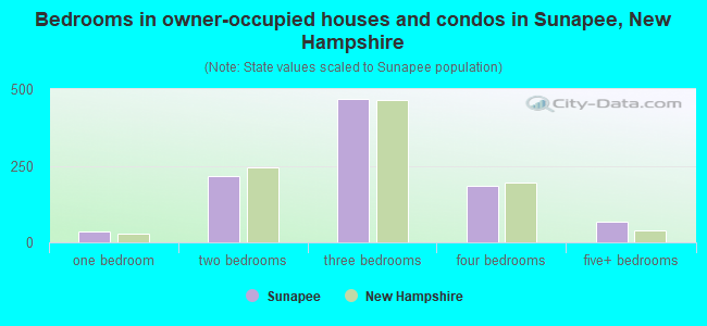 Bedrooms in owner-occupied houses and condos in Sunapee, New Hampshire