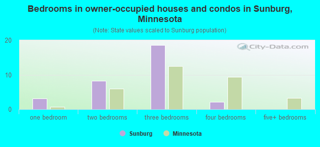 Bedrooms in owner-occupied houses and condos in Sunburg, Minnesota