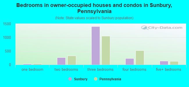 Bedrooms in owner-occupied houses and condos in Sunbury, Pennsylvania