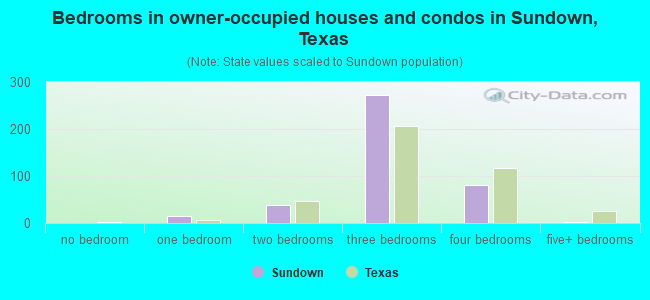 Bedrooms in owner-occupied houses and condos in Sundown, Texas