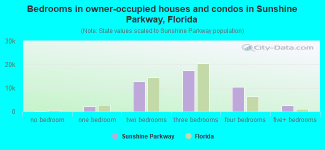 Bedrooms in owner-occupied houses and condos in Sunshine Parkway, Florida