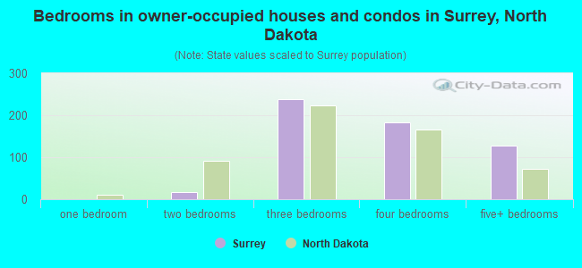 Bedrooms in owner-occupied houses and condos in Surrey, North Dakota