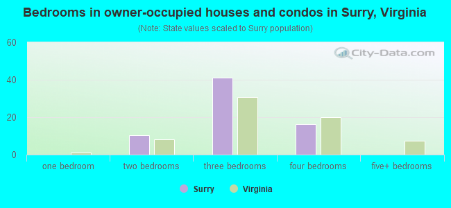 Bedrooms in owner-occupied houses and condos in Surry, Virginia
