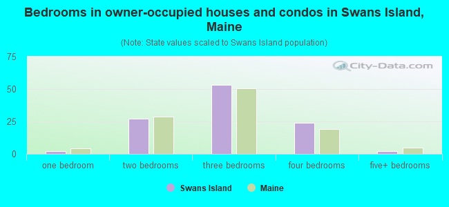 Bedrooms in owner-occupied houses and condos in Swans Island, Maine