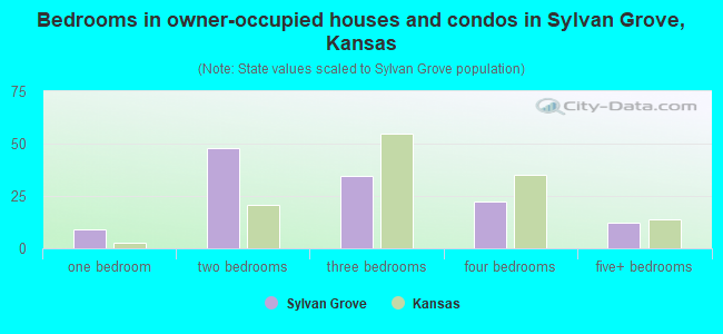 Bedrooms in owner-occupied houses and condos in Sylvan Grove, Kansas
