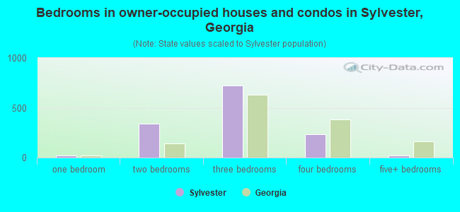 Bedrooms in owner-occupied houses and condos in Sylvester, Georgia