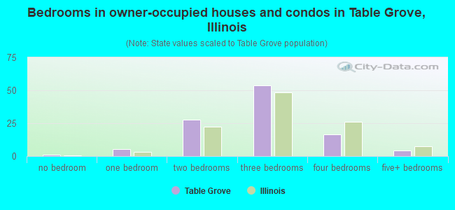 Bedrooms in owner-occupied houses and condos in Table Grove, Illinois