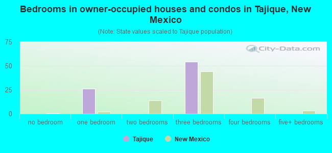 Bedrooms in owner-occupied houses and condos in Tajique, New Mexico