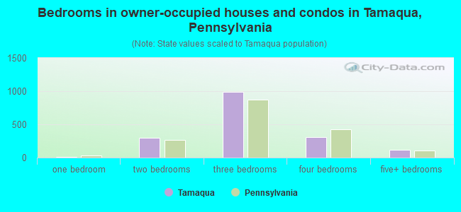 Bedrooms in owner-occupied houses and condos in Tamaqua, Pennsylvania