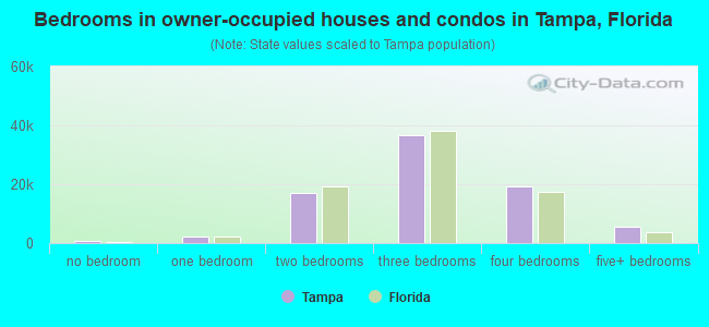 Bedrooms in owner-occupied houses and condos in Tampa, Florida