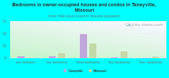 Bedrooms in owner-occupied houses and condos in Taneyville, Missouri