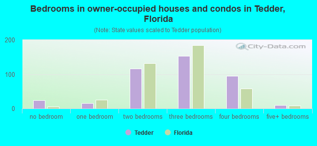 Bedrooms in owner-occupied houses and condos in Tedder, Florida