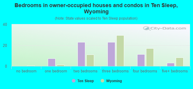 Bedrooms in owner-occupied houses and condos in Ten Sleep, Wyoming
