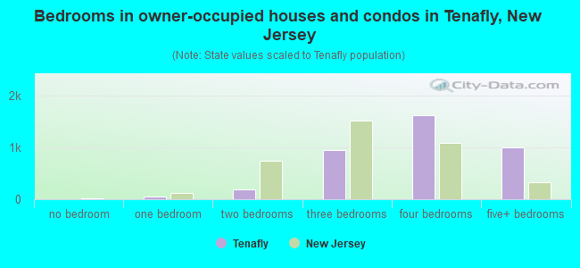 Bedrooms in owner-occupied houses and condos in Tenafly, New Jersey