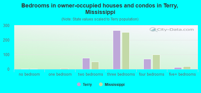 Bedrooms in owner-occupied houses and condos in Terry, Mississippi